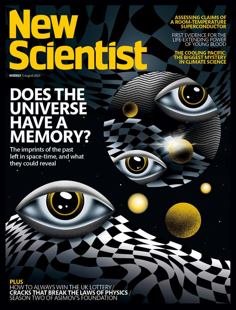 New Scientist Default Image